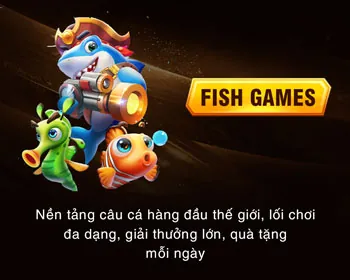 Giấy phép hoạt động và cam kết pháp lý tại c54