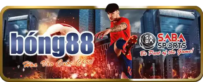 Cá cược thể thao c54 với các giải đấu lớn
